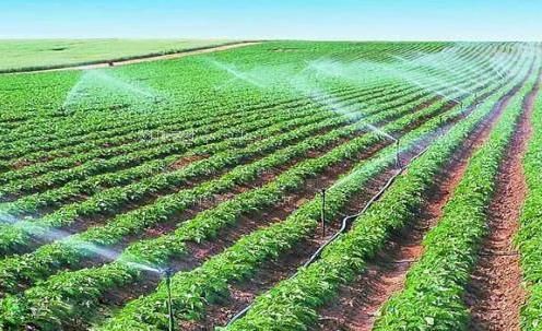 肏B在线农田高 效节水灌溉